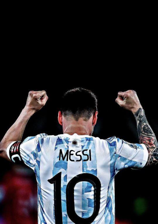 便建立领先 便建立领先